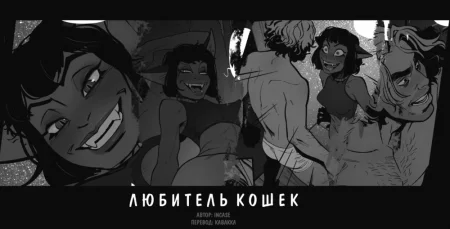 Любитель кошек