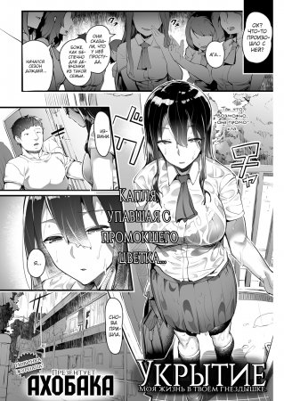 Укрытие (Shelter)