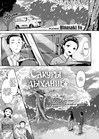 Сакуры дыхание (Breath of Fresh Sakura)