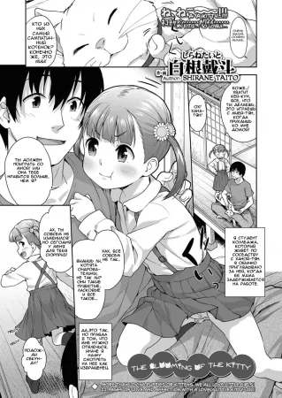 Koneko no Tsubomi (The Blooming of the Kitty)