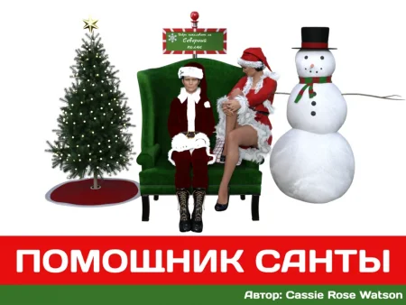 Помощник Санты (Santa's Helper)